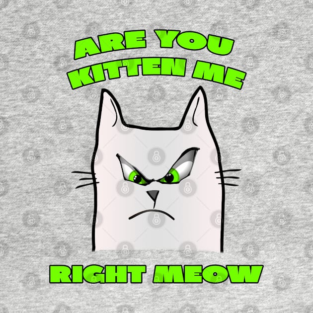 Are You Kitten Me Right Meow by A T Design